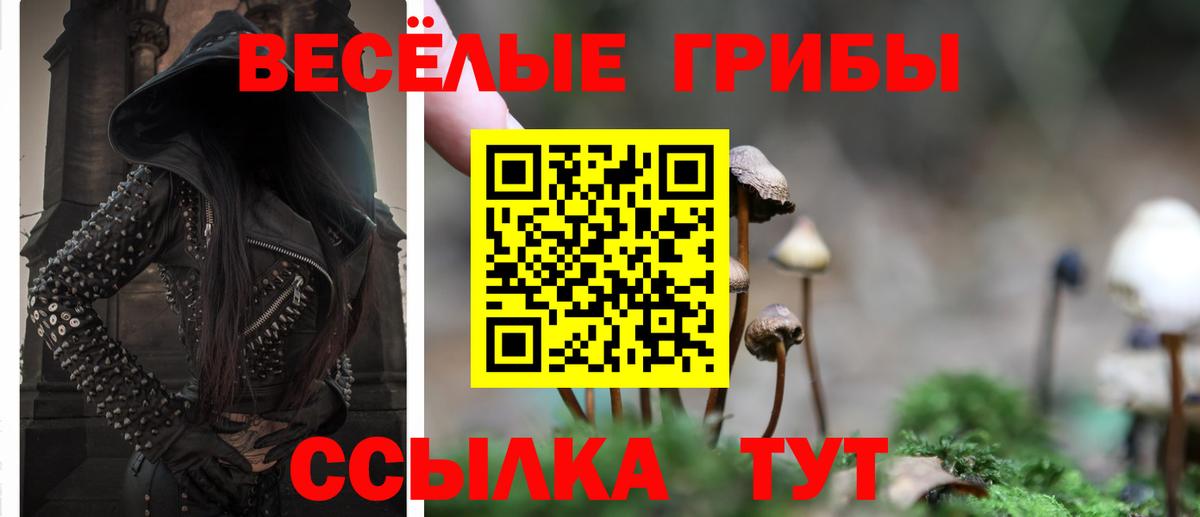 Чистополь  Псилоцибиновые грибы мицелий  Вход с VPN  Псилоцибиновые грибы ЛСД 